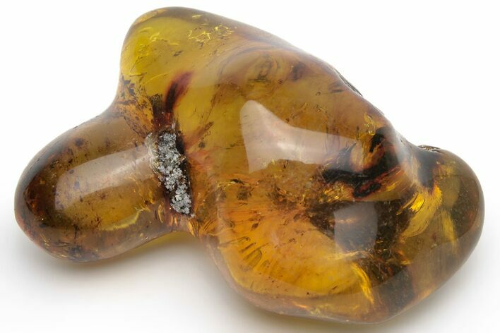 Polished Chiapas Amber ( grams) - Mexico #237390